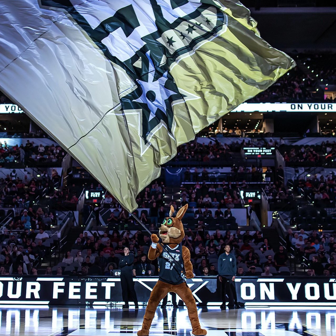 再次完整并 再次完整并